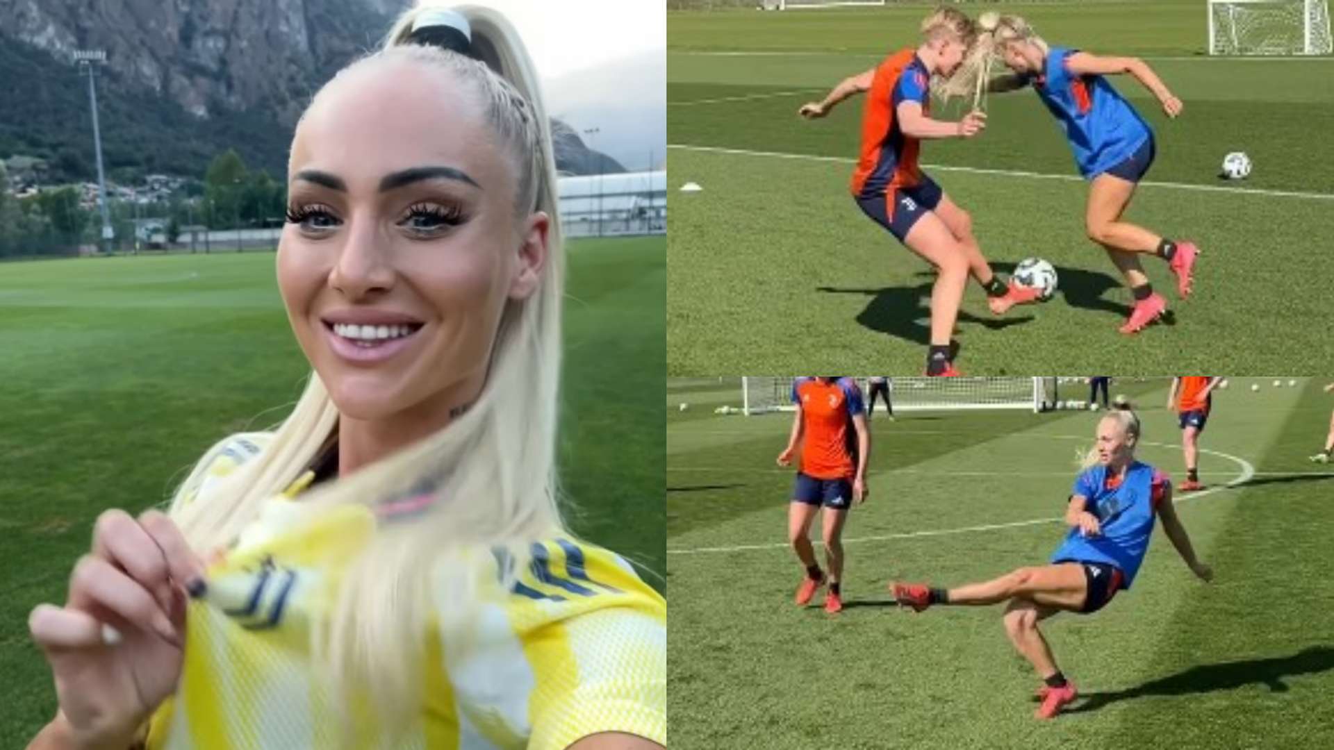 确定因素 确定因素